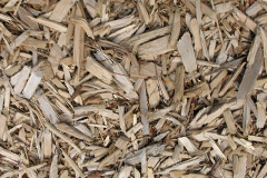 biomass boilers Effledge